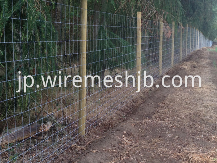 Woven Wire Sheep Fence